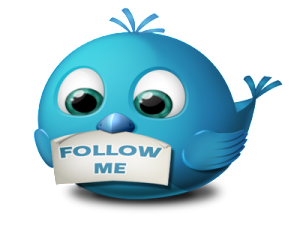 twitter-follow-me-icon